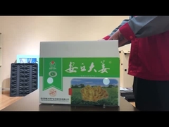 পিপি ফাঁকা বোর্ডের সবজি বাক্স