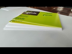 প্লাস্টিকের ফাঁকা বোর্ড