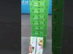 ফল ও শাকসব্জির বাক্স