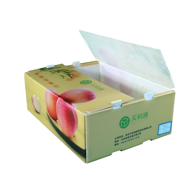 প্লাস্টিকের বাক্স সবজি এবং ফল জন্য পিপি corrugated প্লাস্টিকের বাক্স