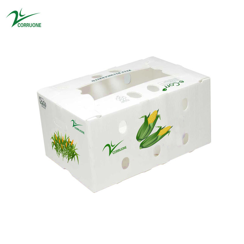 1.5 মিমি-30 মিমি পিপি ঢেউতোলা প্লাস্টিক প্যাকেজিং বক্স সাদা সবুজ নীল