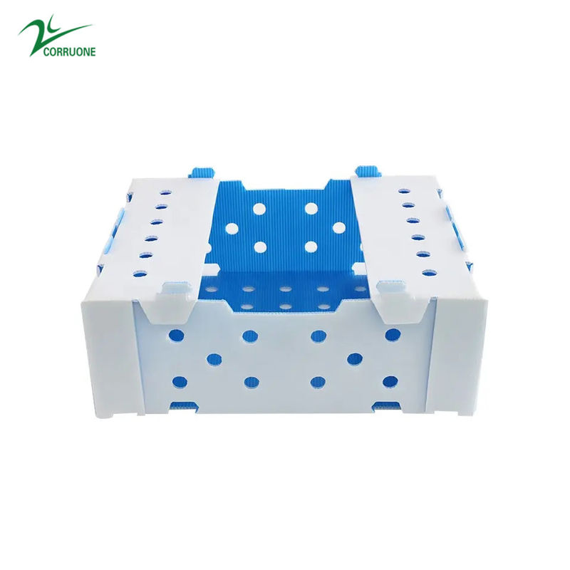 নতুন ২০২৩ ফল ও শাকসব্জির জন্য কম দামের প্লাস্টিকের বাক্স