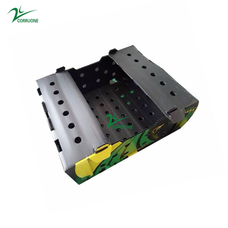 করুয়েন পলিপ্রোপিলিন পাইকারি জলরোধী পিপি corrugated প্লাস্টিকের বাক্স ফল সবজি foldable পিপি প্লাস্টিকের বাক্স