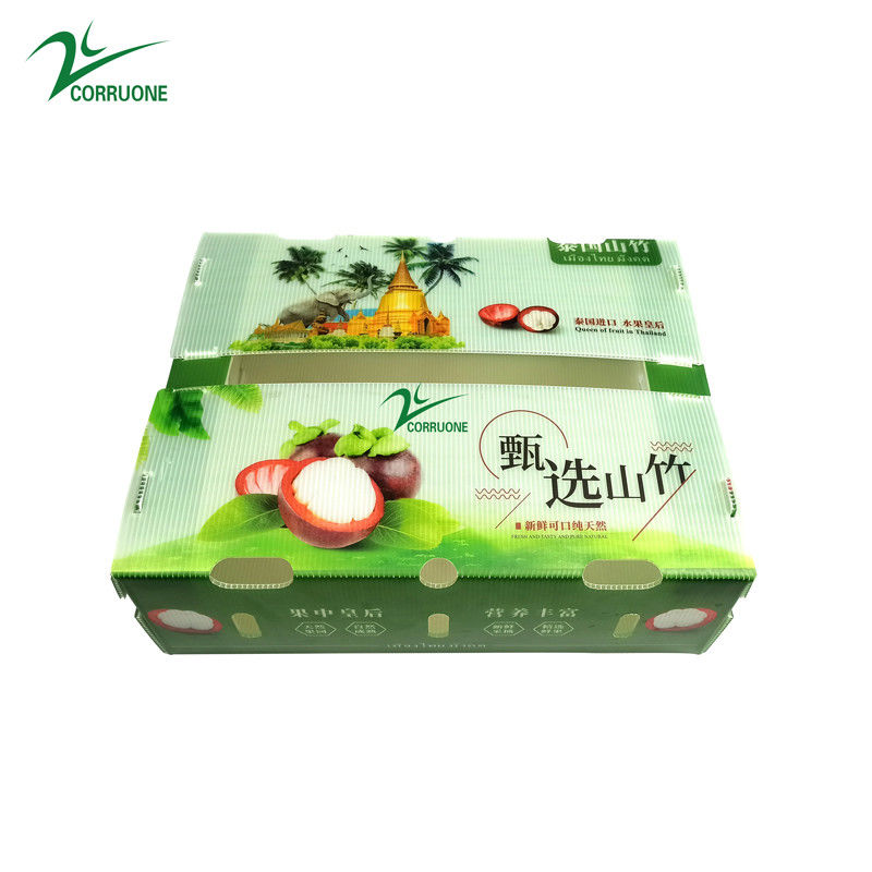 পাইকারি কাস্টম মুদ্রিত ভাঁজযোগ্য স্বচ্ছ প্লাস্টিকের ঘূর্ণমান বর্গক্ষেত্র প্যাকেজিং কভার সহ ফলের বাক্স প্রদর্শন
