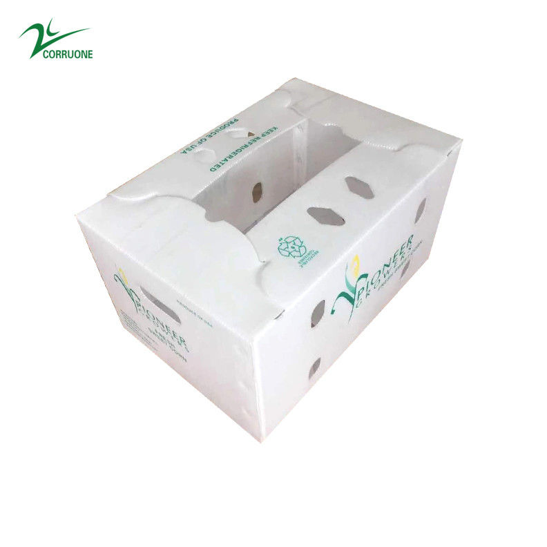 ইউভি প্রতিরোধী উদ্ভিজ্জ corrugated বাক্স কাস্টম আকার এবং ডিজাইন