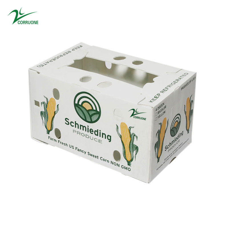 ইউভি প্রতিরোধী উদ্ভিজ্জ corrugated বাক্স কাস্টম আকার এবং ডিজাইন