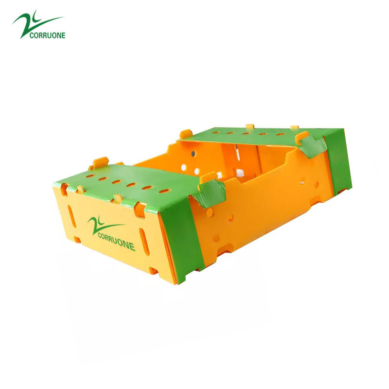 ইউভি প্রতিরোধী উদ্ভিজ্জ corrugated বাক্স কাস্টম আকার এবং ডিজাইন