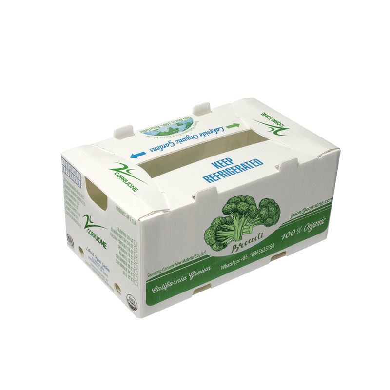 OEM কারখানা উত্পাদন পিপি প্লাস্টিকের corrugated বাক্স জন্য তাজা মিষ্টি কর্ন ব্রকলি ডিম রসুন আদা বাক্স
