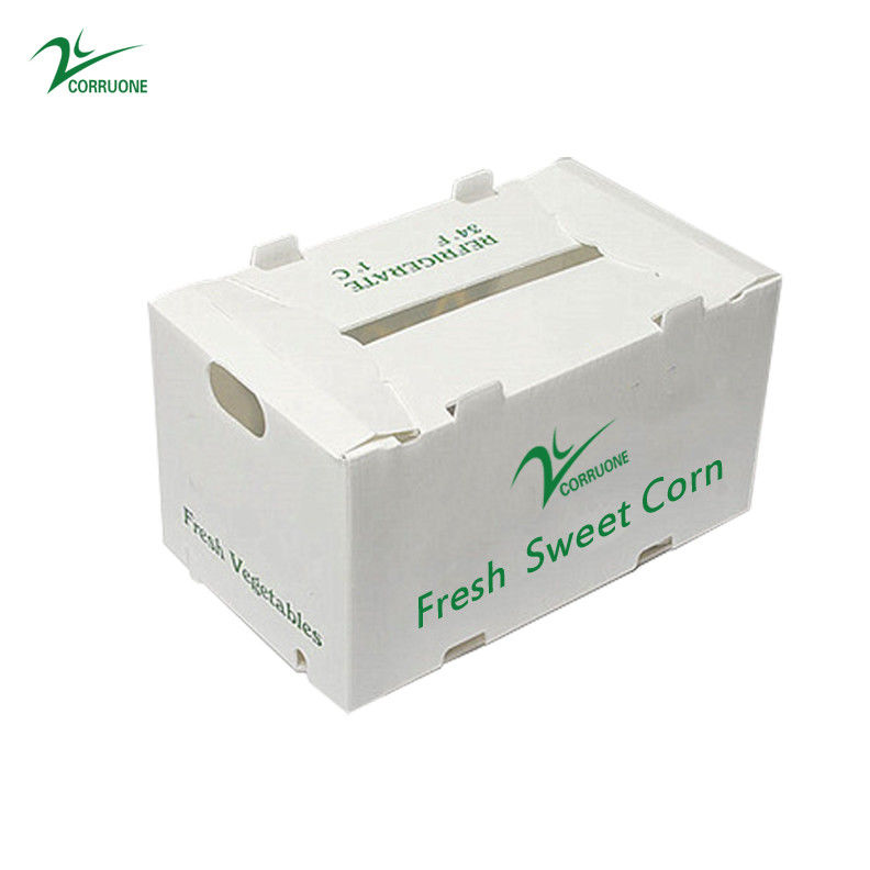 OEM কারখানা উত্পাদন পিপি প্লাস্টিকের corrugated বাক্স জন্য তাজা মিষ্টি কর্ন ব্রকলি ডিম রসুন আদা বাক্স