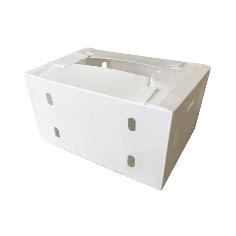 OEM কারখানা উত্পাদন পিপি প্লাস্টিকের corrugated বাক্স জন্য তাজা মিষ্টি কর্ন ব্রকলি ডিম রসুন আদা বাক্স