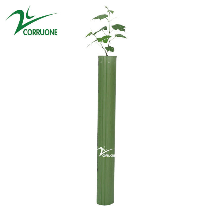 UV চিকিত্সা ঢেউতোলা ট্রি গার্ড 3mm PP করফ্লুট প্ল্যান্ট গার্ড