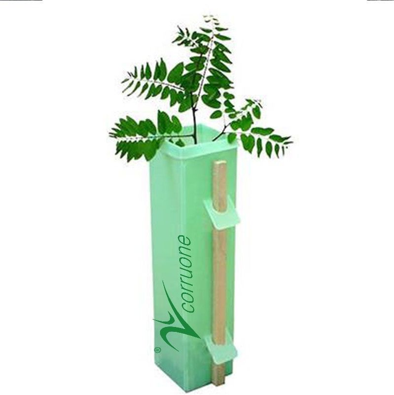 UV চিকিত্সা ঢেউতোলা ট্রি গার্ড 3mm PP করফ্লুট প্ল্যান্ট গার্ড