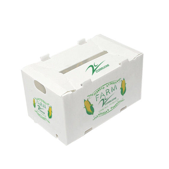 প্লাস্টিকের বাক্স সবজি এবং ফল জন্য পিপি corrugated প্লাস্টিকের বাক্স
